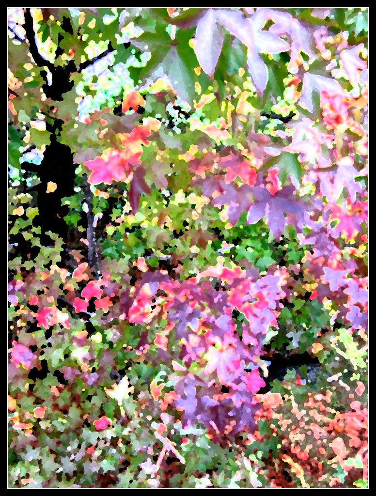 Autumn Impression by allie912