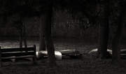 4th Nov 2012 - Low Light By The Lake