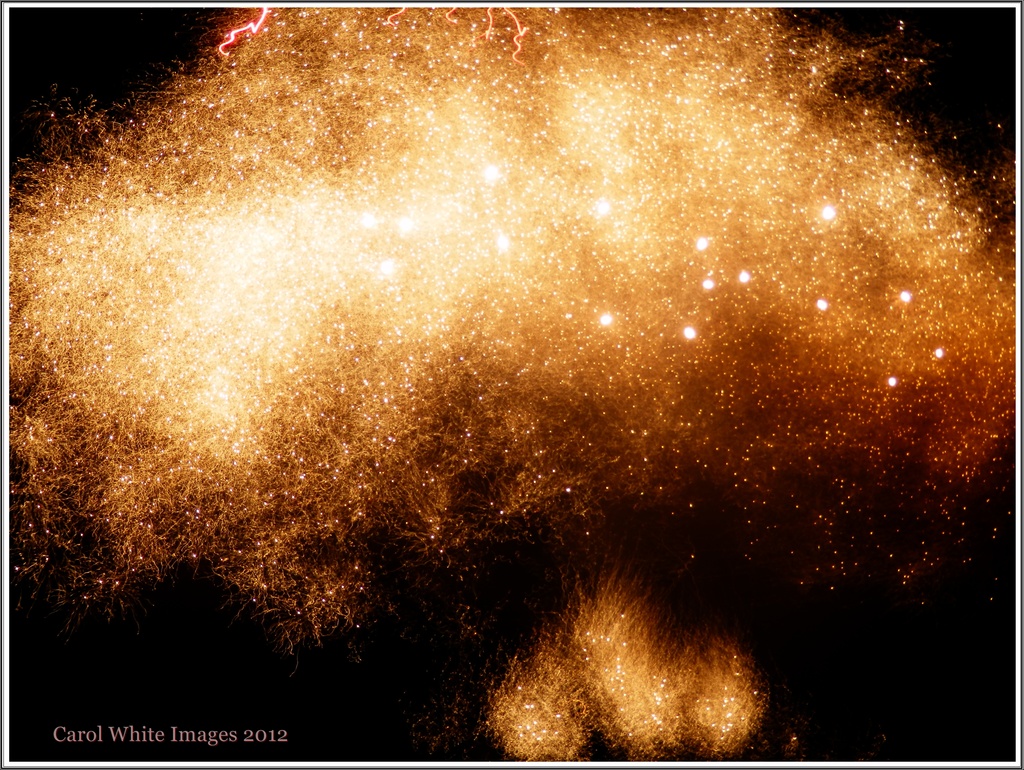 Golden Explosion (Fireworks 1) by carolmw