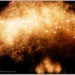Golden Explosion (Fireworks 1) by carolmw