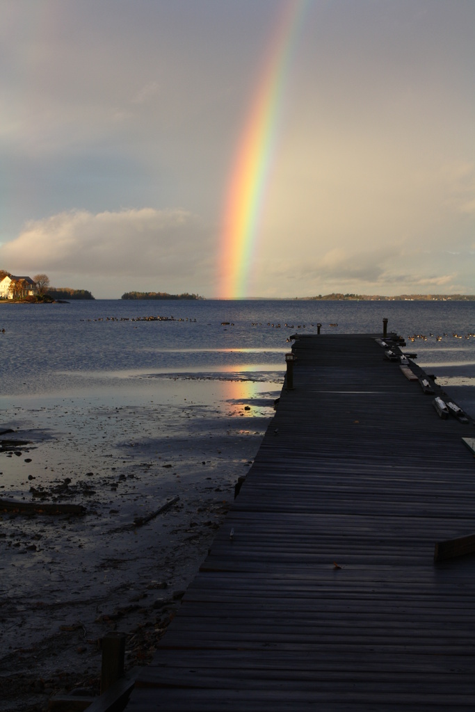 rainbow reflection by rrt