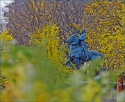 27th Oct 2012 - Joan of Arc on the Plains of Abraham