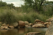4th Nov 2012 - Tucson River