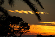 4th Nov 2012 - Sunday sunset