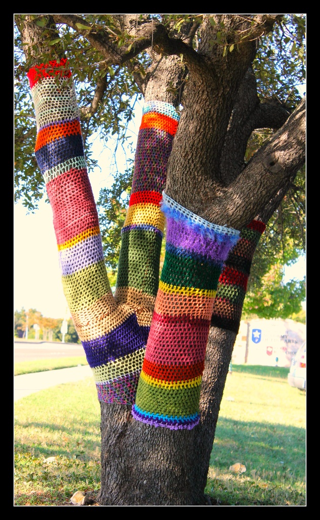  Trees wearing sweaters by judyc57