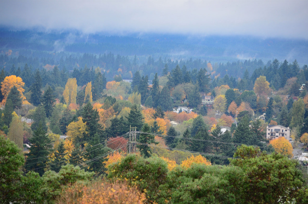 Fall Colours by byrdlip