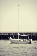4th Nov 2012 - sailing...