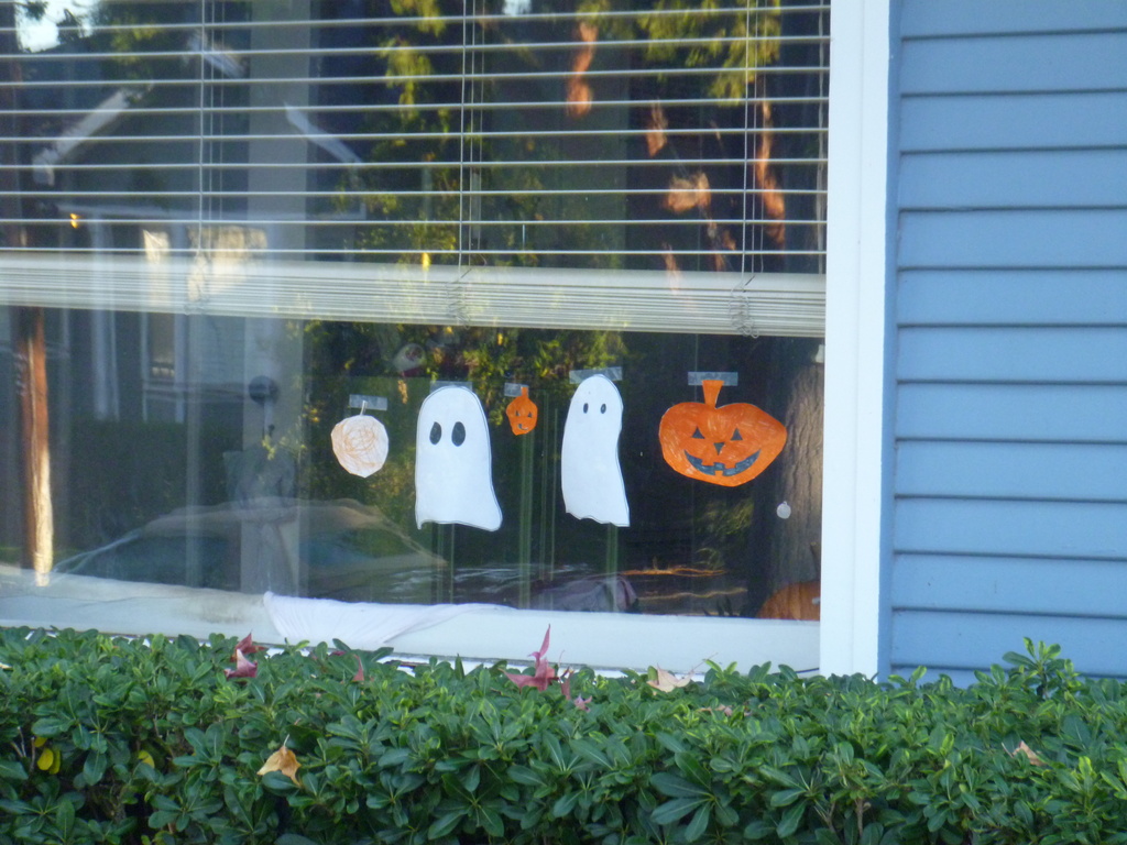 Halloween in the Window by handmade