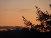 4th Nov 2012 - Sunset