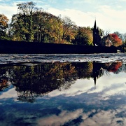 5th Nov 2012 - Autumn in a Brugean Puddle