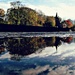 Autumn in a Brugean Puddle by rich57
