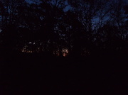 3rd Nov 2012 - View of the Sunrise From the Back Step