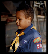 5th Nov 2012 - The Cub Scout