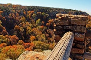 5th Nov 2012 - Highest Point in Arkansas