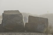6th Nov 2012 - Appearing Out of the Mist