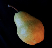 5th Nov 2012 - Space Pear
