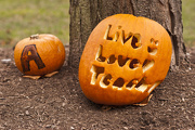 31st Oct 2012 - Live, Love, Teach