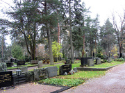 18th Oct 2012 - Old Cemetery