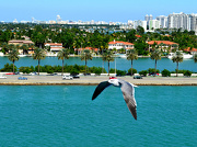 30th Oct 2012 - Birds Eye View of Miami