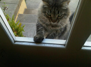 5th Nov 2012 - Can I Come In?