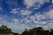 7th Nov 2012 - Awesome clouds