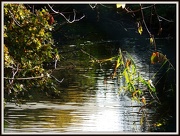 7th Nov 2012 - Sunlight on the water