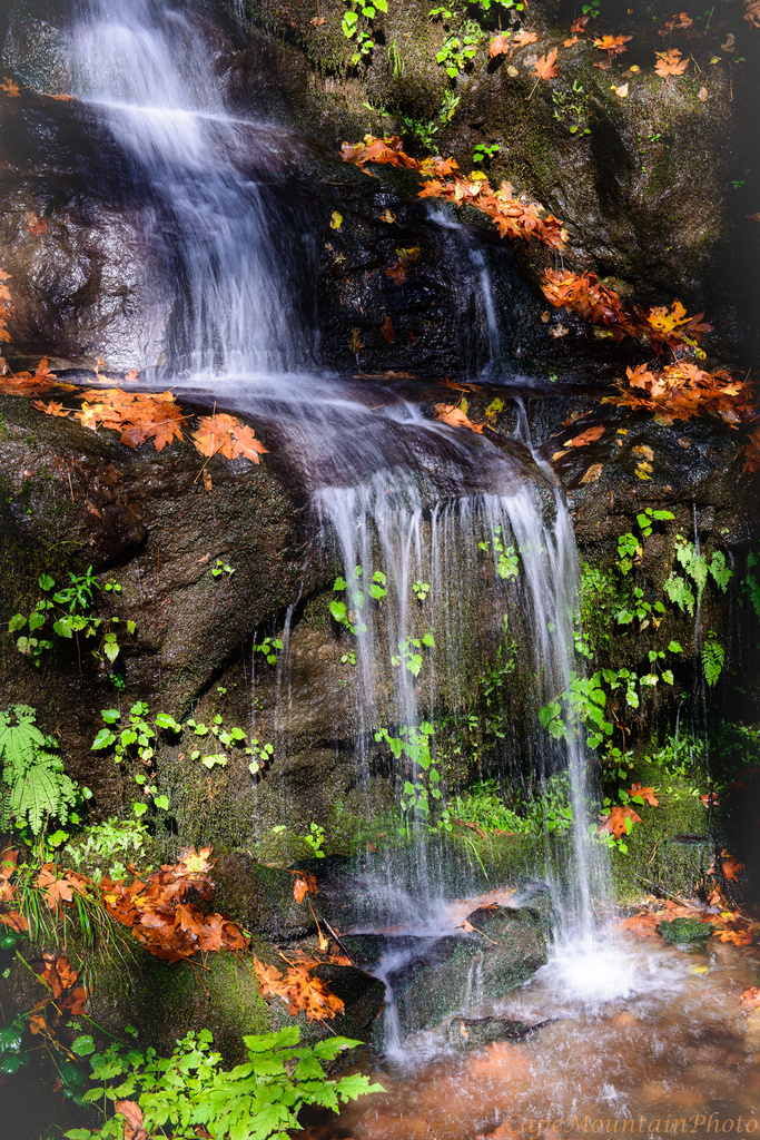 Leaves Color Waterfall by jgpittenger