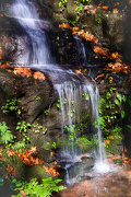 7th Nov 2012 - Leaves Color Waterfall