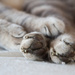 Pile of Foots by helenw2