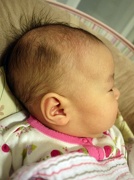 6th Nov 2012 - Bold Baby 嬰兒禿