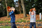 7th Nov 2012 - Let's Throw Some Leaves!!