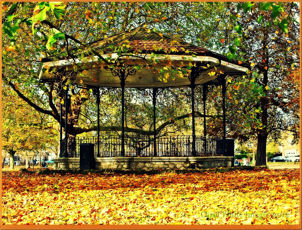 Bandstand In Autumn by carolmw