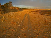 8th Nov 2012 - beachwalking 'shadows' (november list) for ever....