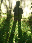 8th Nov 2012 - Shadow
