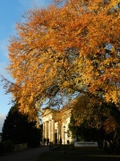 8th Nov 2012 - Autumn in the Museum Gardens