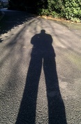 8th Nov 2012 - Nov 08: 'Shadow' or "The long road ahead"