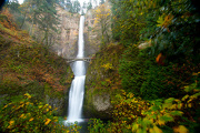 8th Nov 2012 - Multnomah Falls