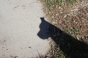 8th Nov 2012 - Shadow...