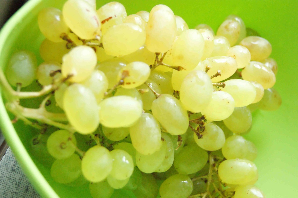 grapes by inspirare