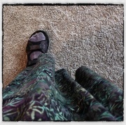 9th Nov 2012 - My Left Foot