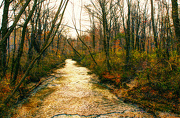 9th Nov 2012 - Stone Creek