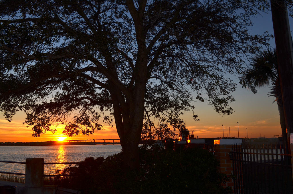 Sunset at The Battery, Charleston, SC by congaree