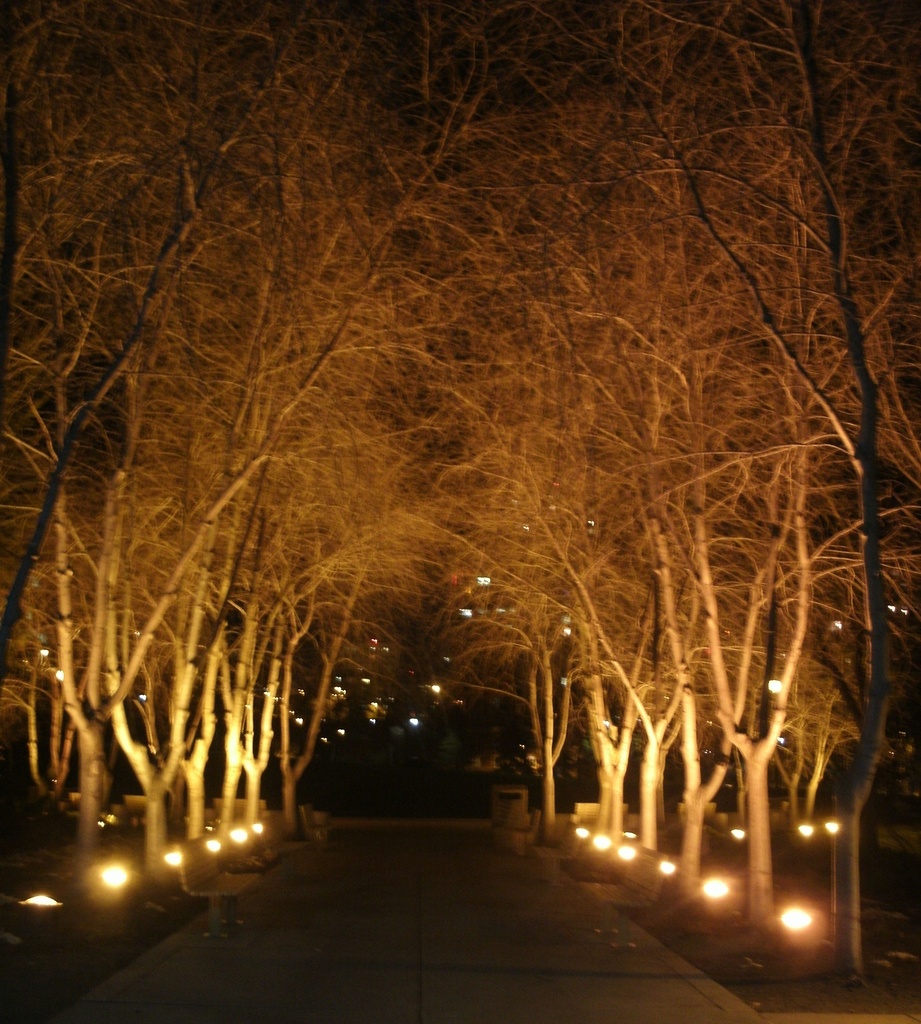 Pathway all lit up by bkbinthecity
