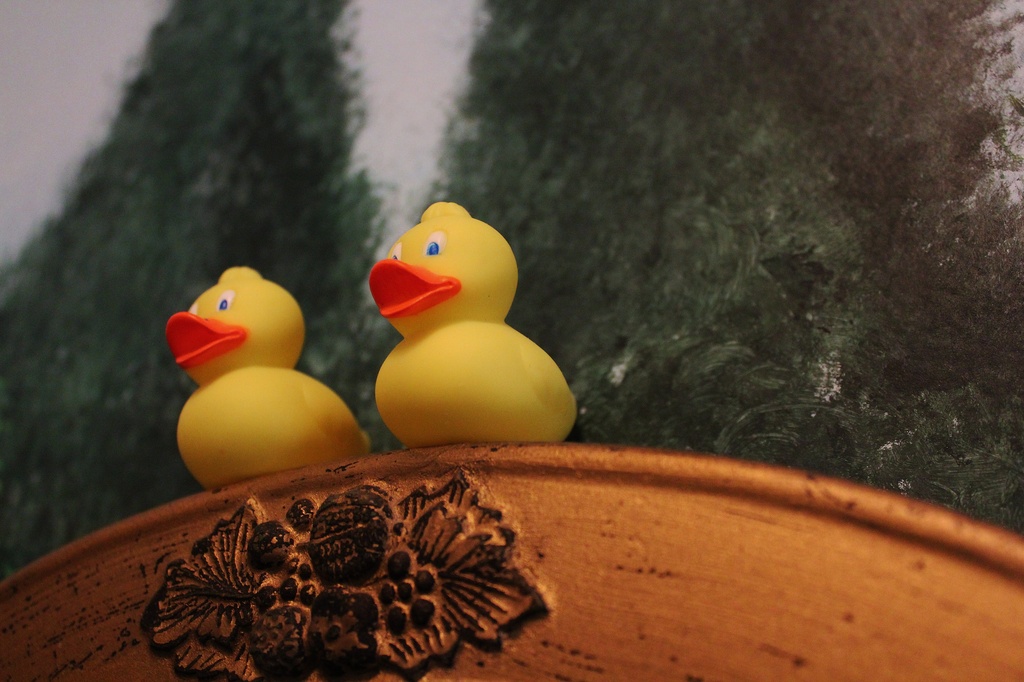 Just Ducky! by edorreandresen