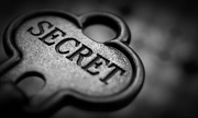 11th Nov 2012 - Secret