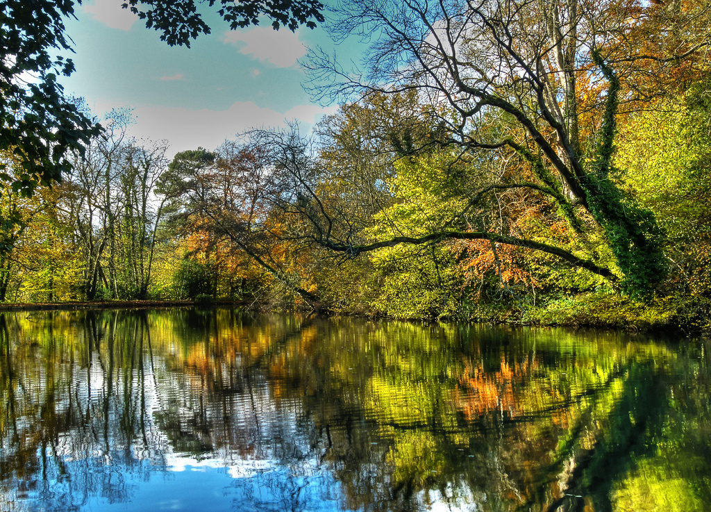 autumn at the lake by jantan