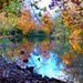 autumn afternoon at the lake by jantan