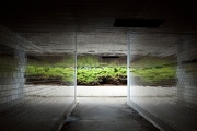 10th Nov 2012 - Tunnel Vision