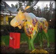 10th Nov 2012 - Moose shopping
