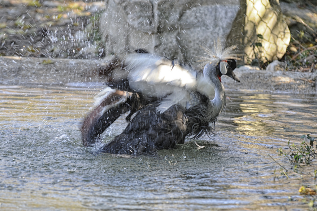 Bath Time by lstasel